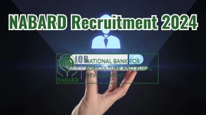 NABARD Recruitment 2024 Notification Out Chief Financial Officer, Check Eligibility at nabard.org